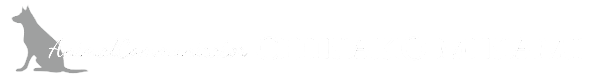 Animal Communicator 三上智香子